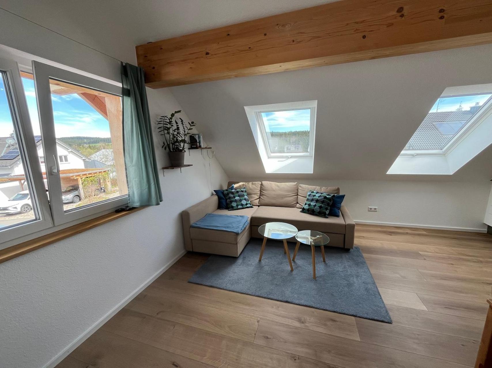 Neuwelt Apartment Hinterzarten