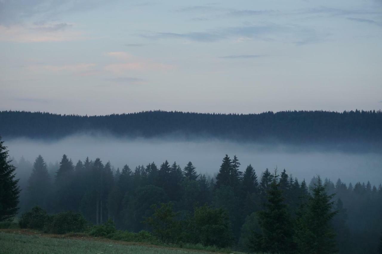 Neuwelt